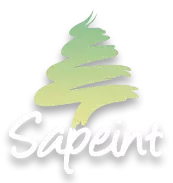 Sapeint Peintre Industriel France Rennes Logo Footer