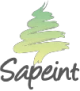 SAPEINT Logo