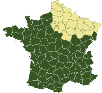 Sapeint Peintre Industriel France Rennes Agence Nord
