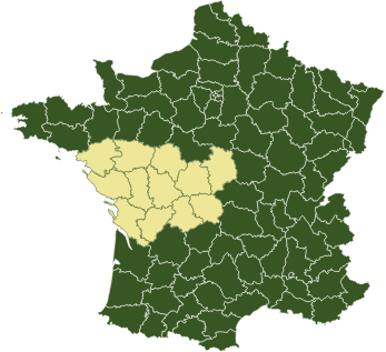 Sapeint Peintre Industriel France Rennes Agence Ouest