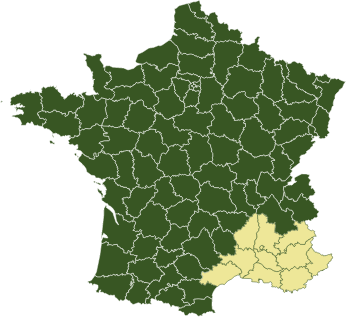 Sapeint Peintre Industriel France Rennes Agence Sud Est